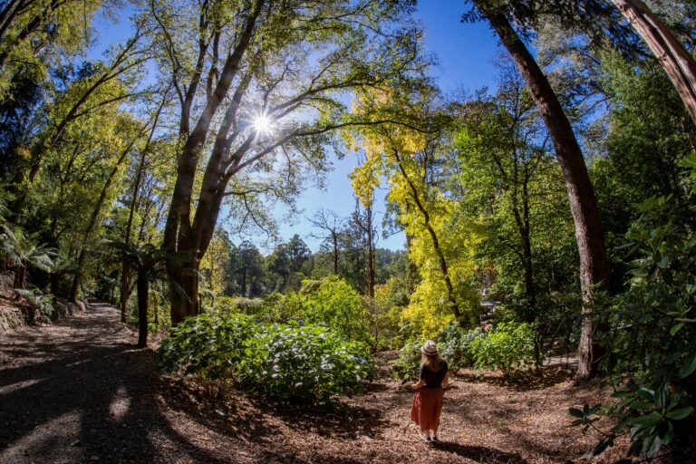 international dating