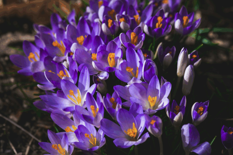 international relationship