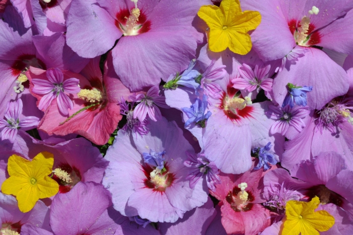 international dating