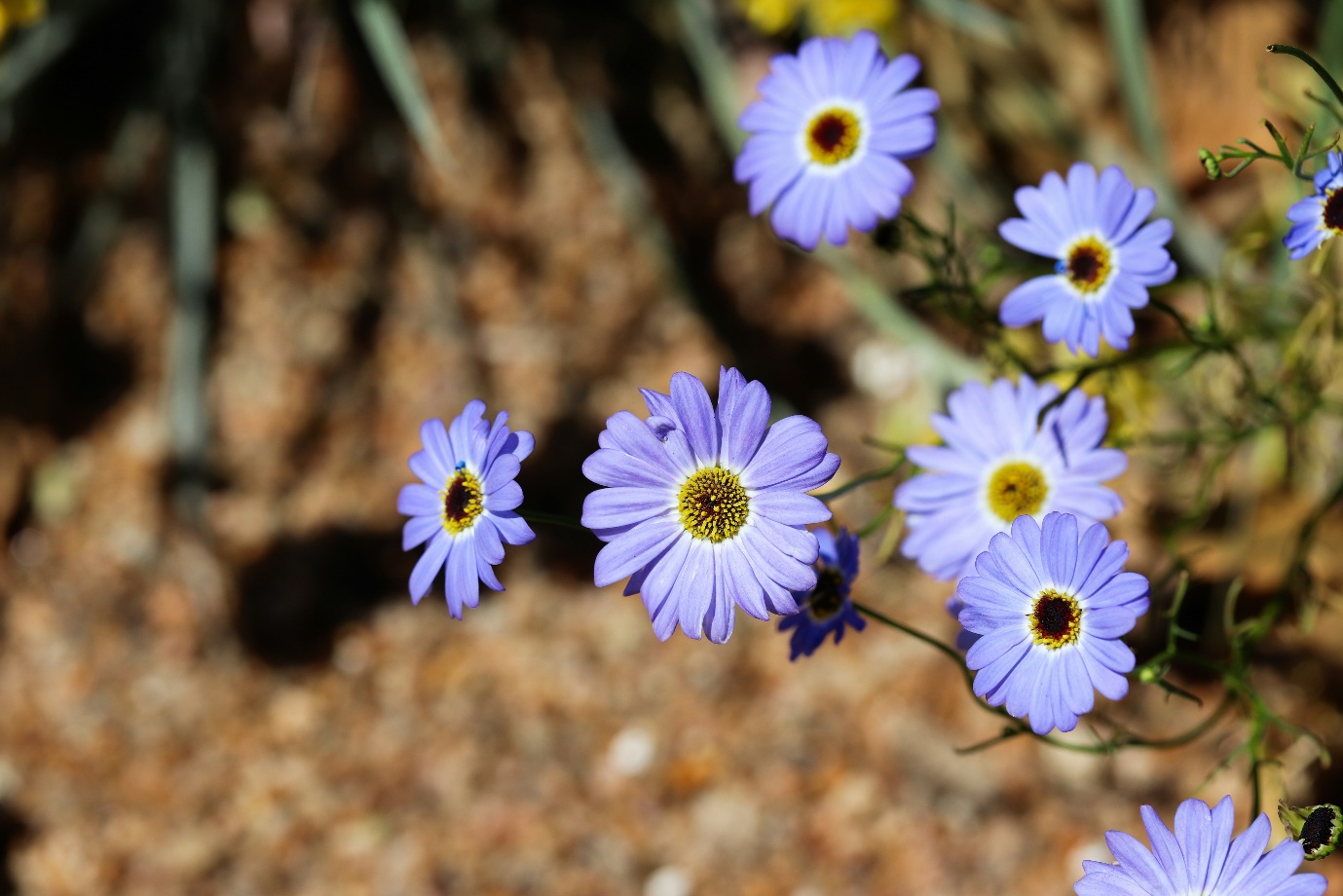 dating as an introvert