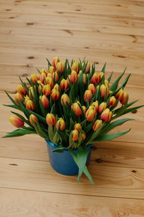 dating advice for men