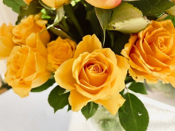 international dating