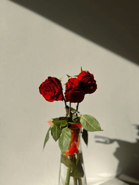 international dating