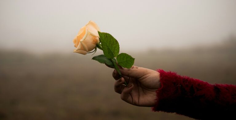 dating and relationships