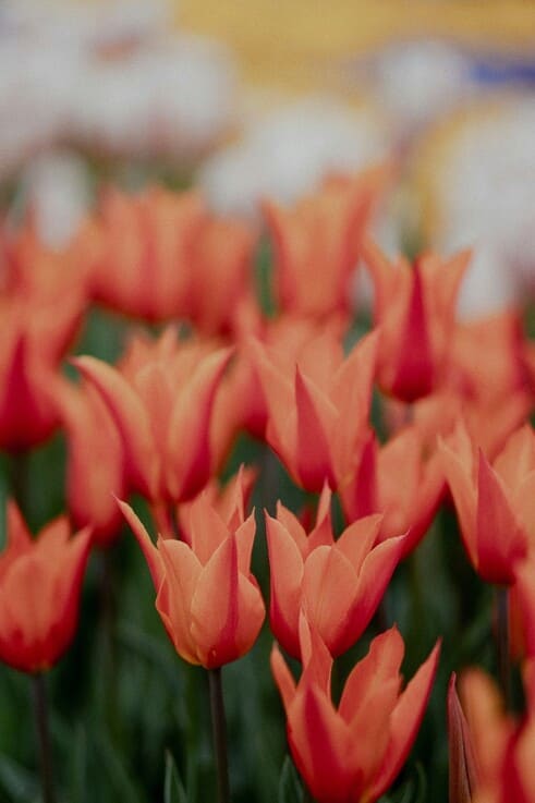 dating advice for men