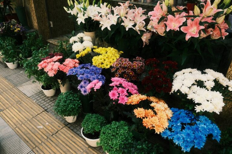 dating advice for men