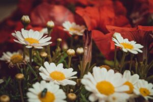 How to handle singlism from your family – honest safer dating advice